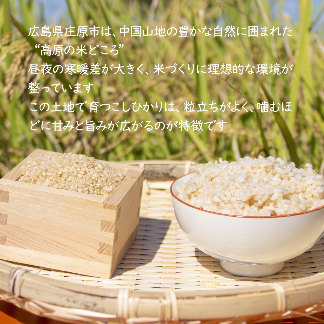 お米 広島県産 ファーム永田の 特別栽培コシヒカリ 白米 10㎏｜食の健康社